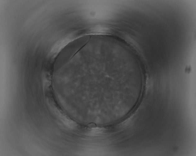 X0000110721449200906261444