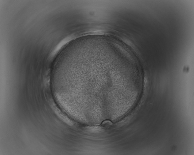X0000110721450200906261444