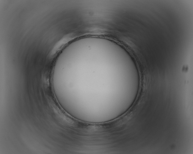 X0000110721451200906261444