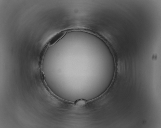 X0000110721452200906261444