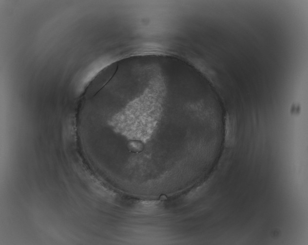 X0000110721453200906261444