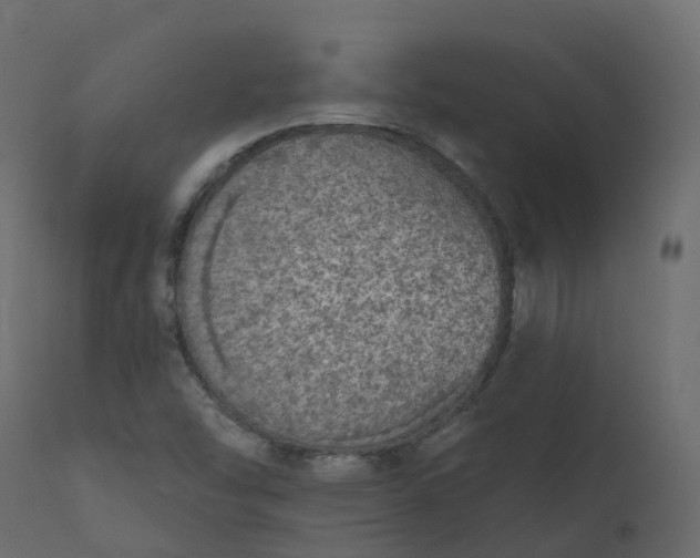 X0000110721454200906261444