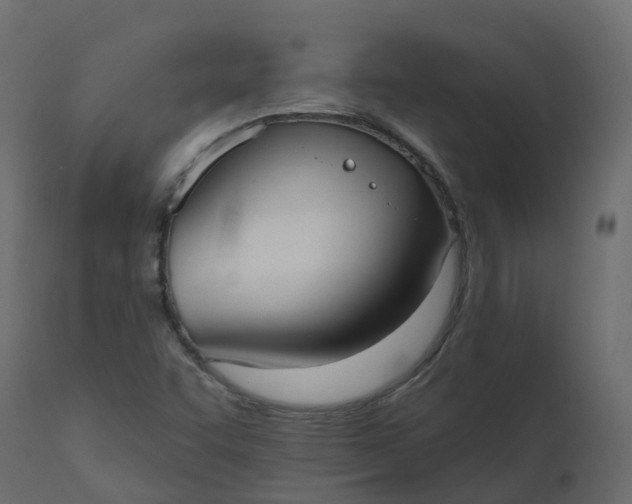 X0000110721455200906261444