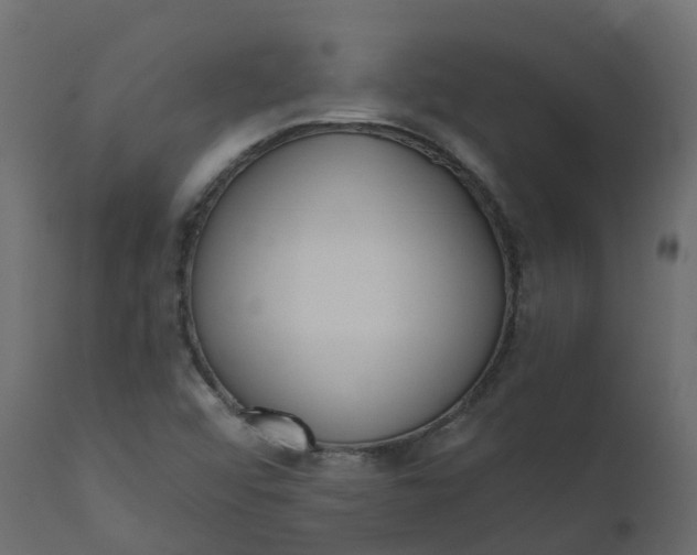 X0000110721456200906261444