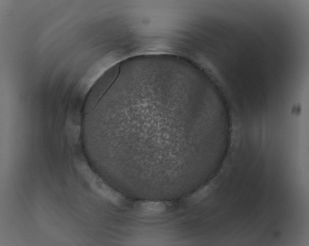 X0000110721457200906261444