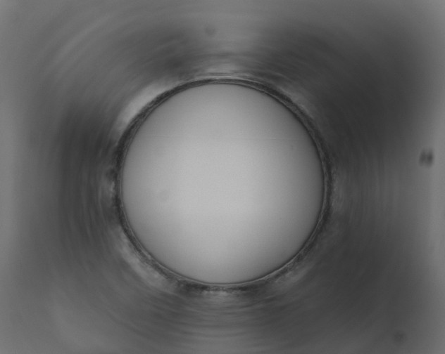 X0000110721458200906261444