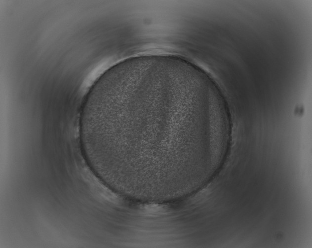 X0000110721459200906261444