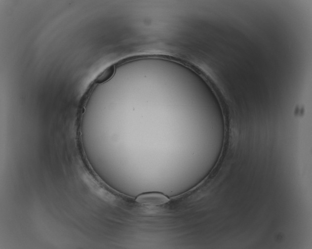 X0000110721460200906261444