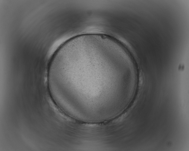 X0000110721461200906261444