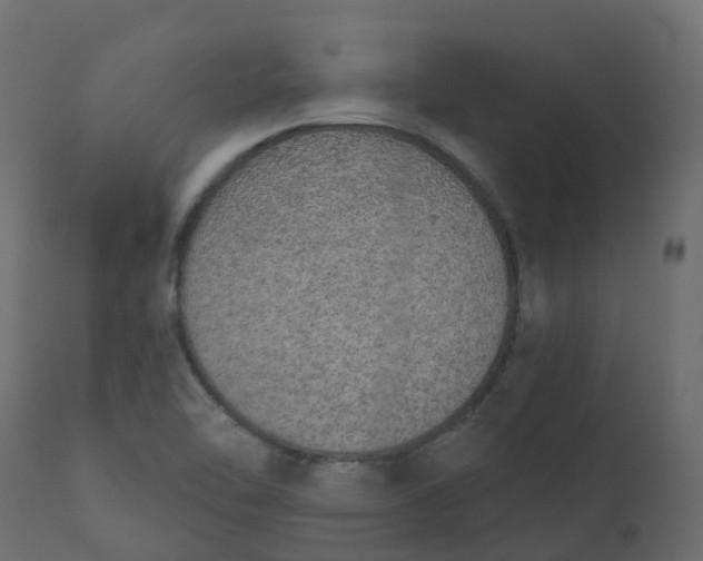 X0000110721462200906261444