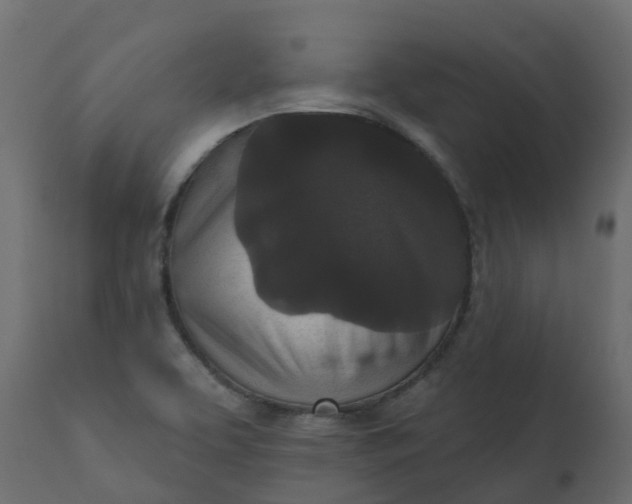 X0000110721463200906261444