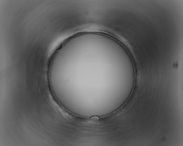 X0000110721464200906261444