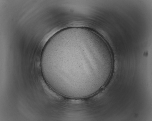 X0000110721465200906261444