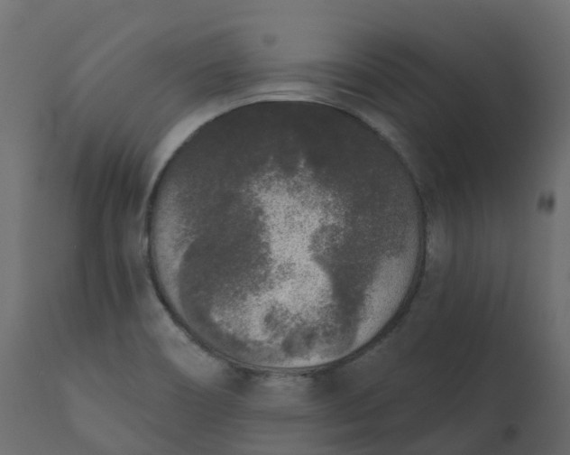 X0000110721466200906261444