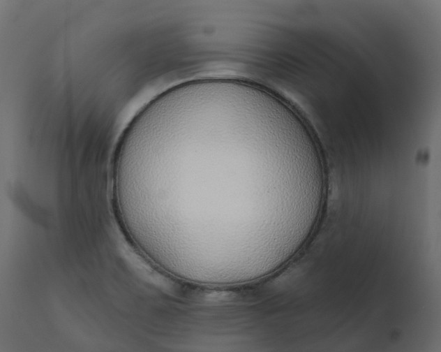 X0000110721467200906261444