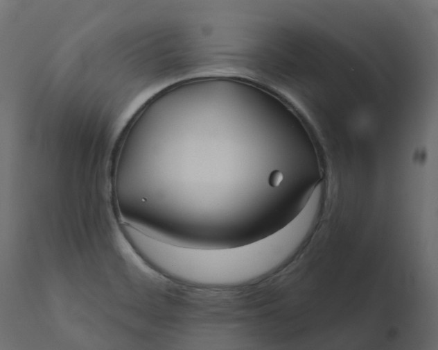 X0000110721468200906261444