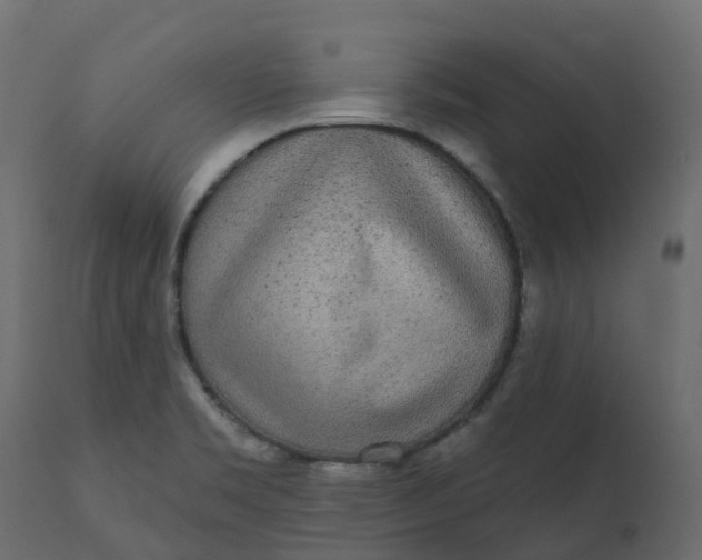 X0000110721469200906261444