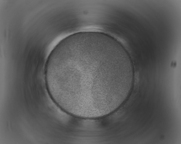 X0000110721470200906261444