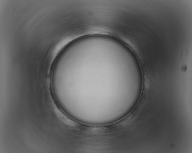 X0000110721471200906261444
