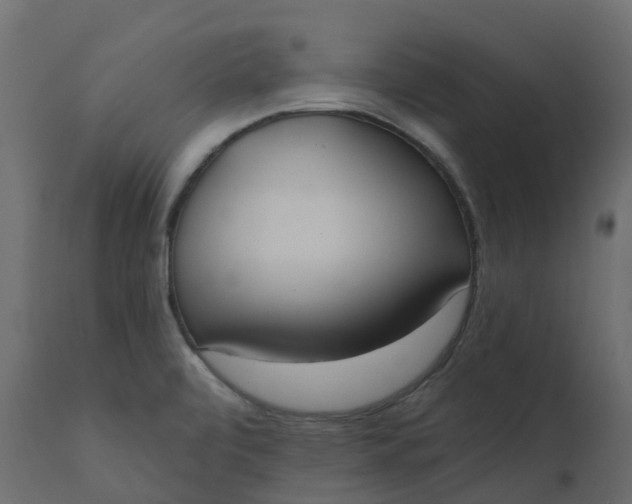 X0000110721472200906261444