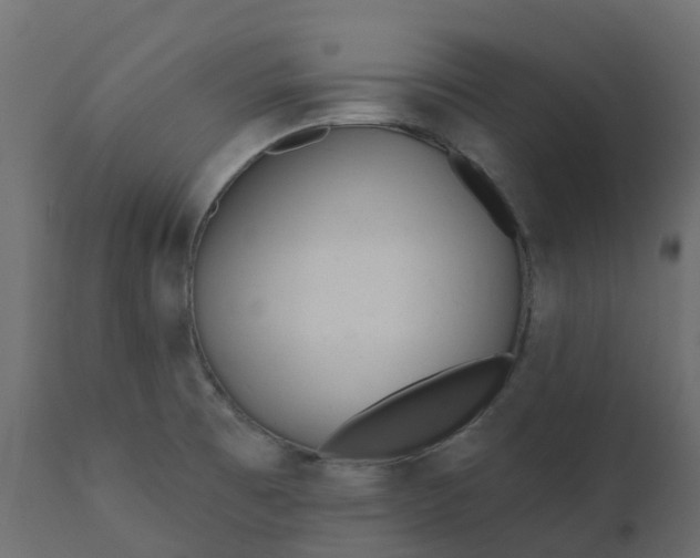 X0000110721473200906261444