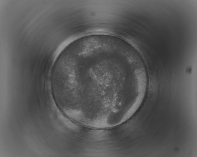 X0000110721474200906261444