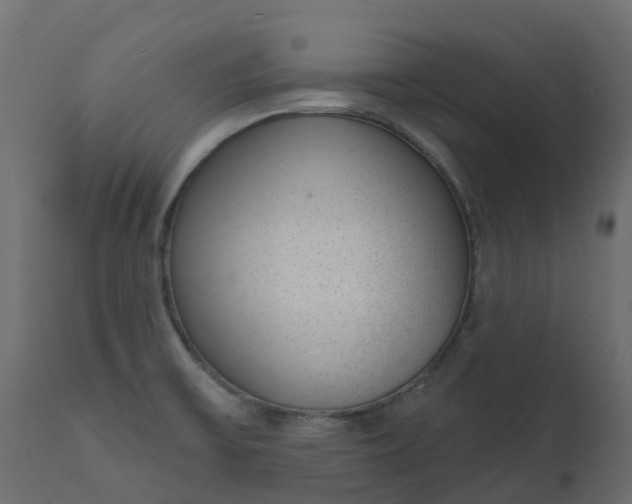 X0000110721475200906261444