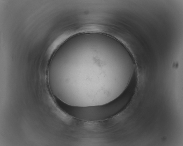 X0000110721477200906261444