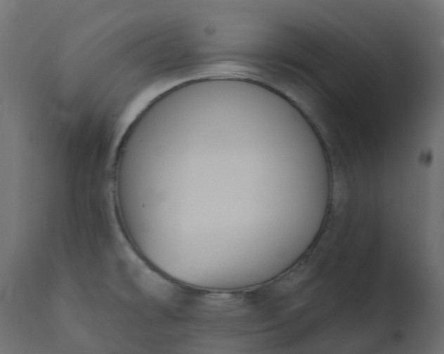 X0000110721478200906261444