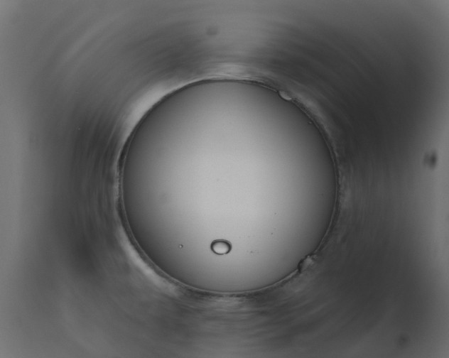 X0000110721479200906261444
