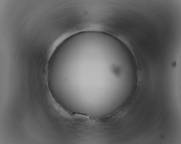 X0000110721480200906261444