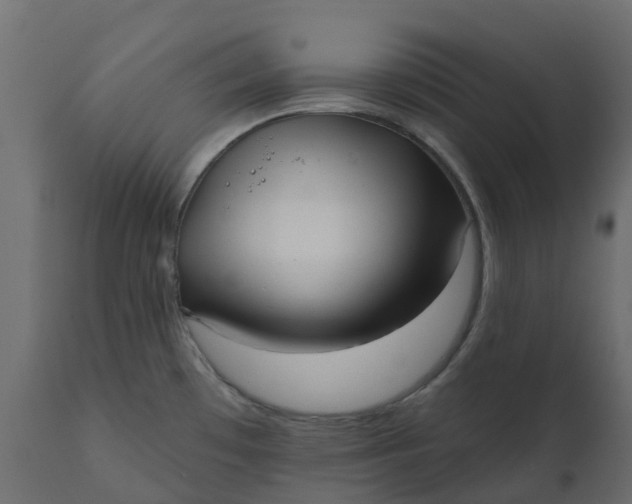 X0000110721481200906261444