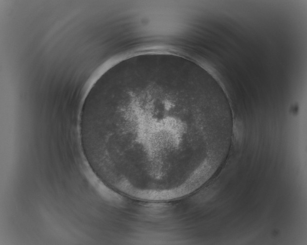 X0000110721482200906261444