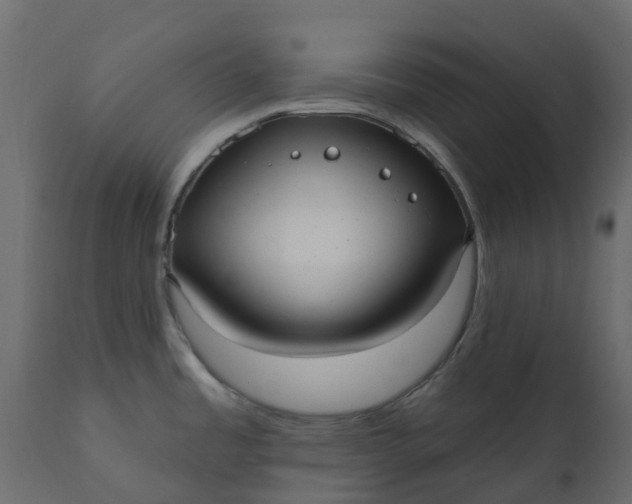 X0000110721485200906261444
