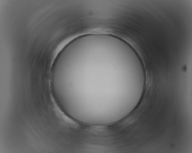 X0000110721486200906261444