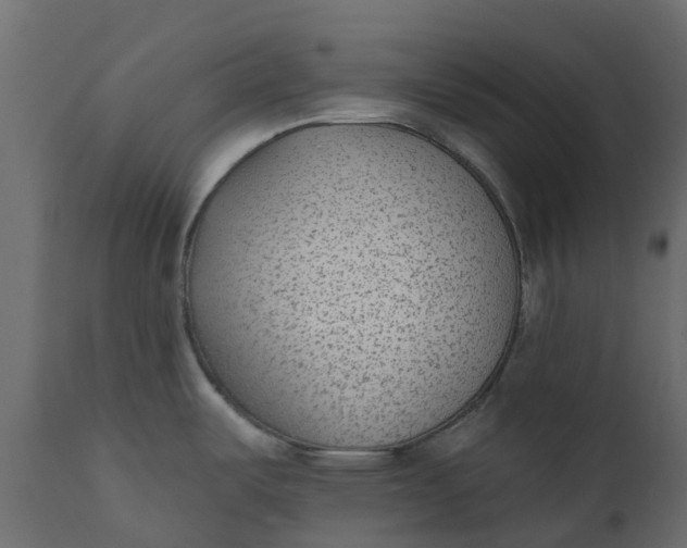 X0000110721487200906261444