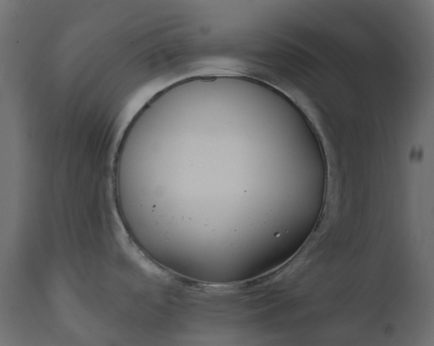 X0000110721488200906261444