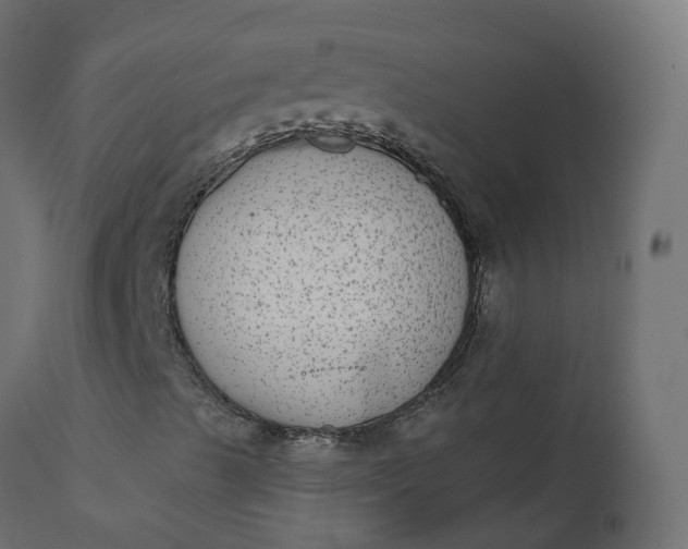 X0000110721489200906261442