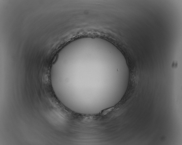 X0000110721490200906261442