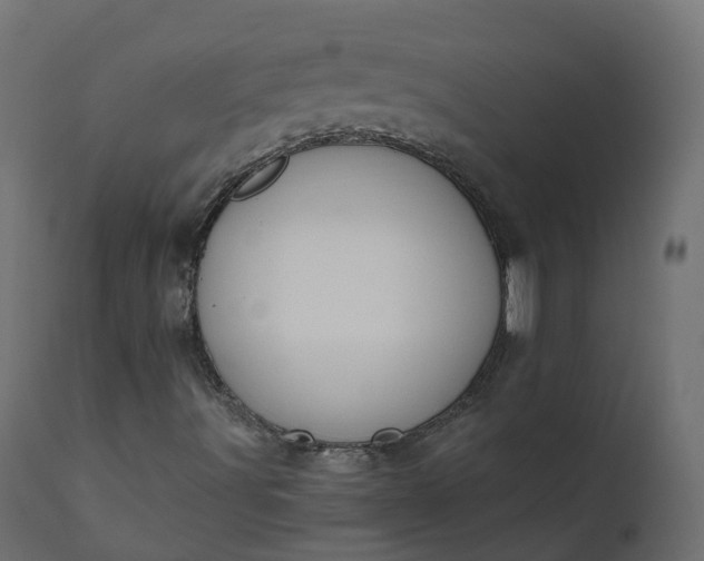 X0000110721491200906261442