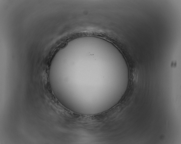 X0000110721493200906261443