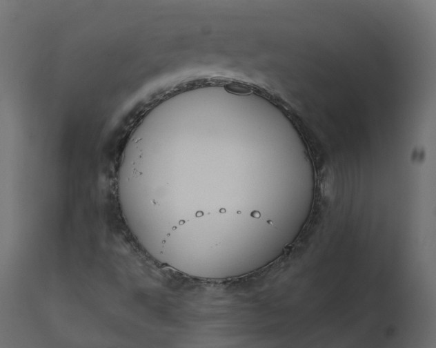 X0000110721495200906261443
