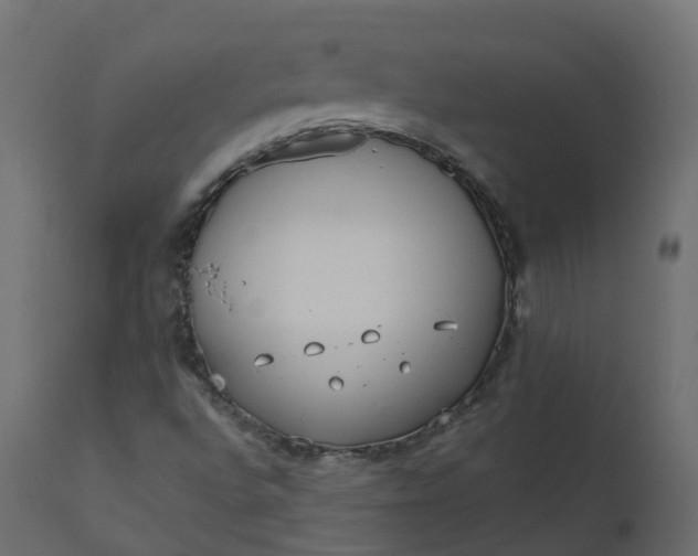 X0000110721496200906261443