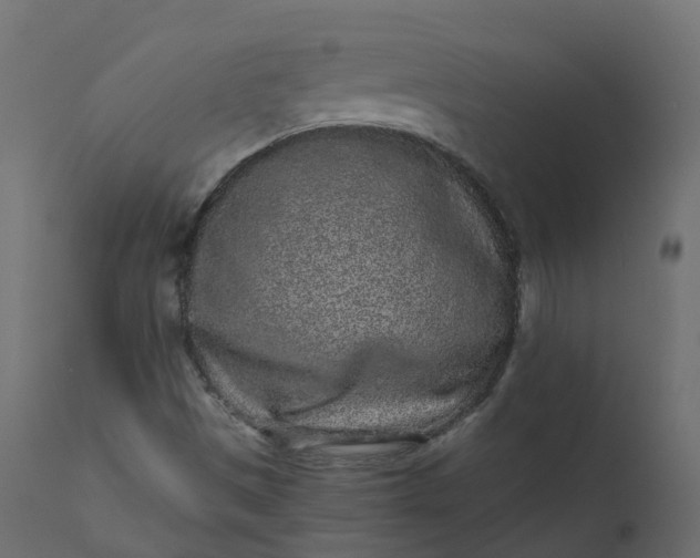 X0000110721497200906261443