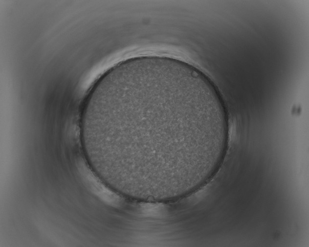 X0000110721498200906261443