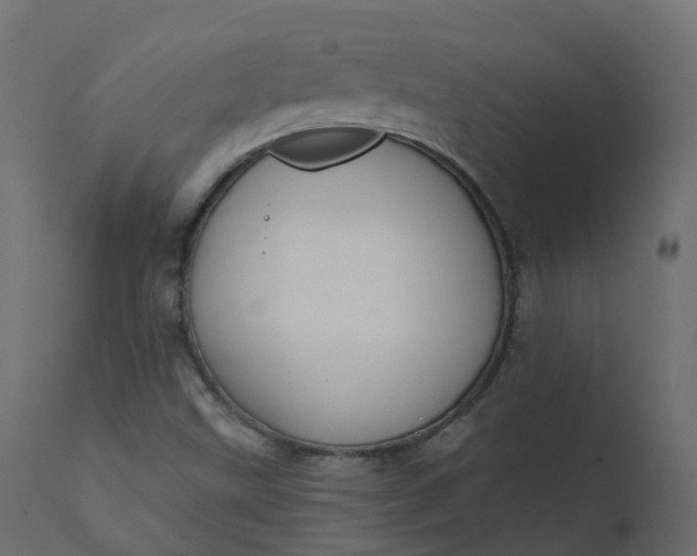 X0000110721499200906261443