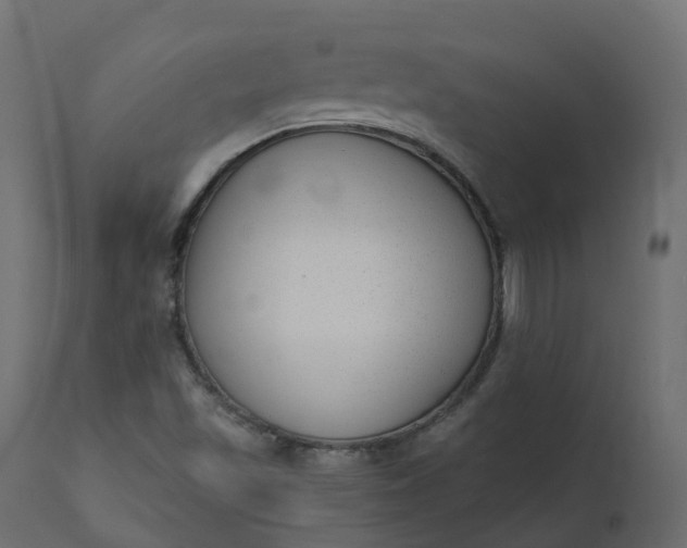 X0000110721501200906261443