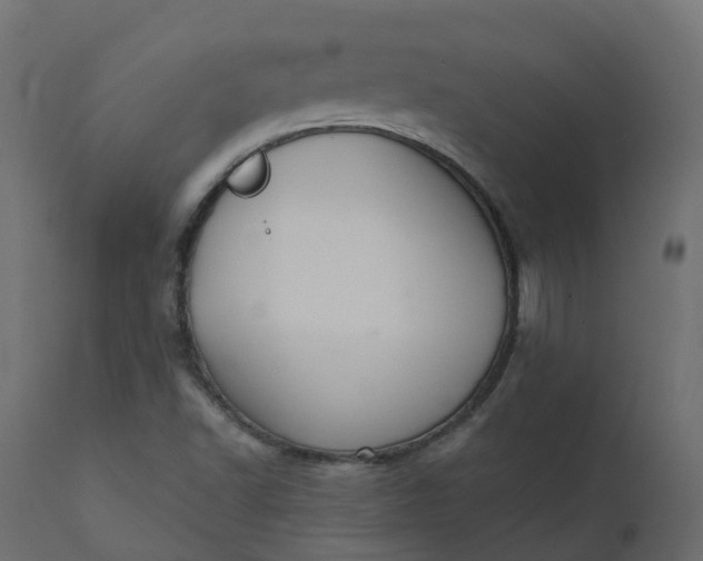 X0000110721502200906261443