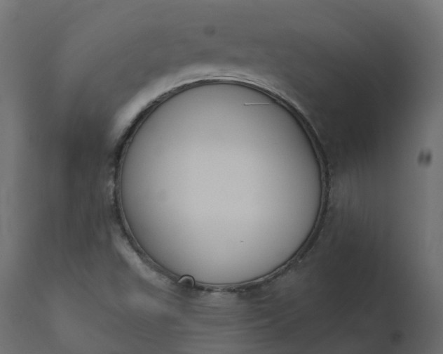 X0000110721503200906261443