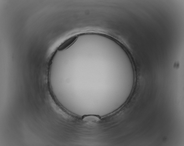 X0000110721504200906261443